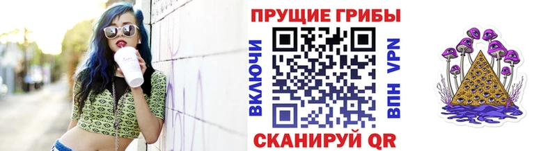 Купить где  Березники  Галлюциногенные грибы Cubensis 
